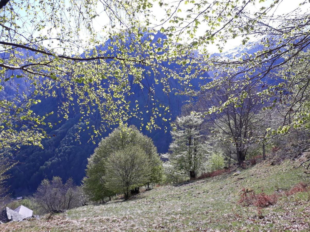 Casa All'Alpe Gaggetto B & B Anzino Kültér fotó