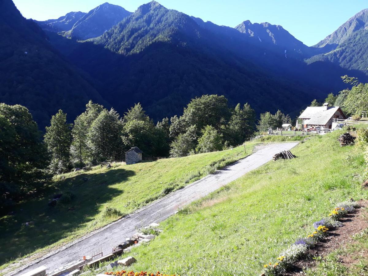 Casa All'Alpe Gaggetto B & B Anzino Kültér fotó