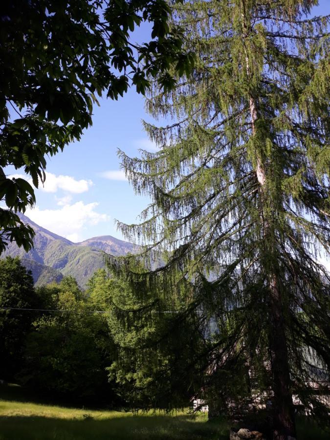 Casa All'Alpe Gaggetto B & B Anzino Kültér fotó
