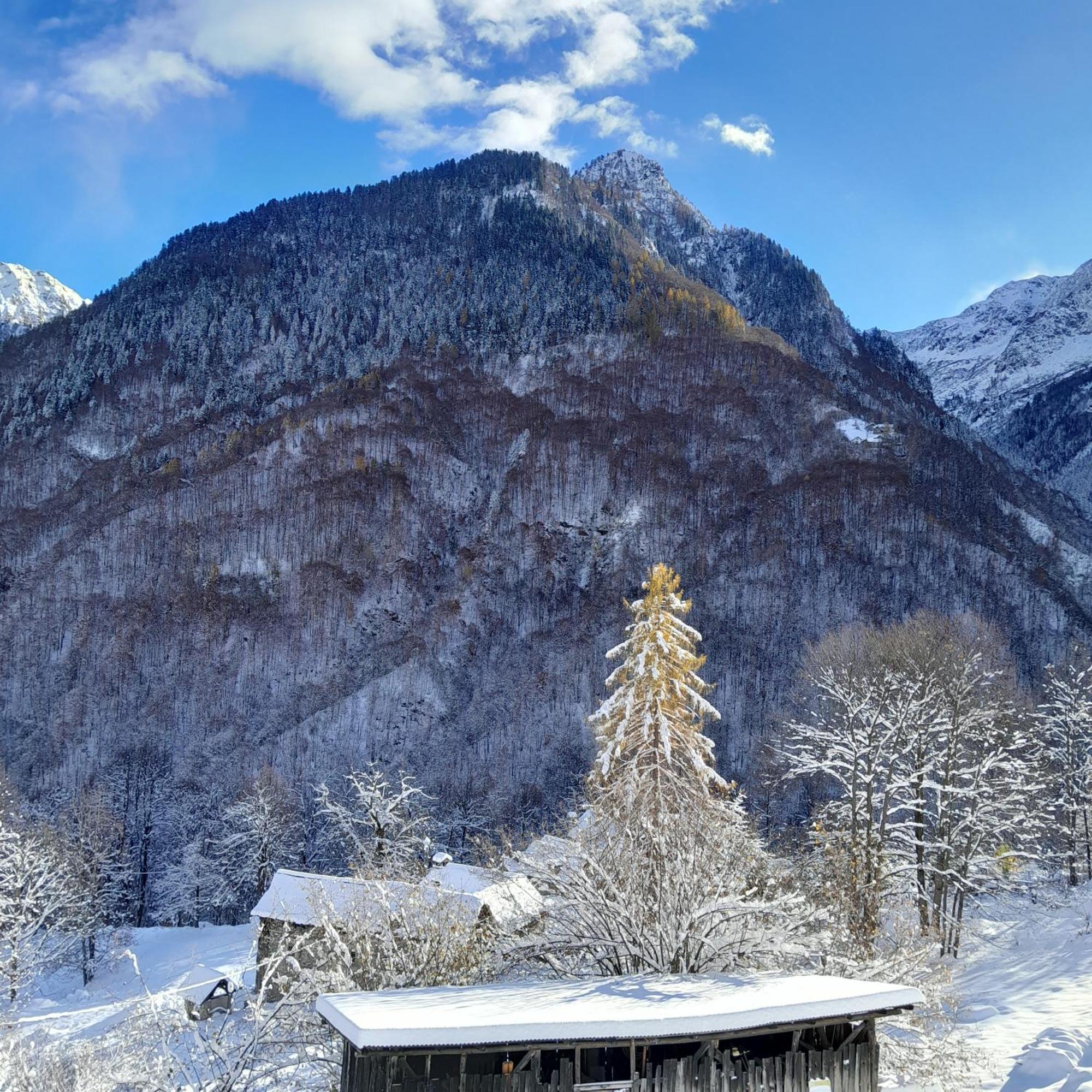 Casa All'Alpe Gaggetto B & B Anzino Kültér fotó